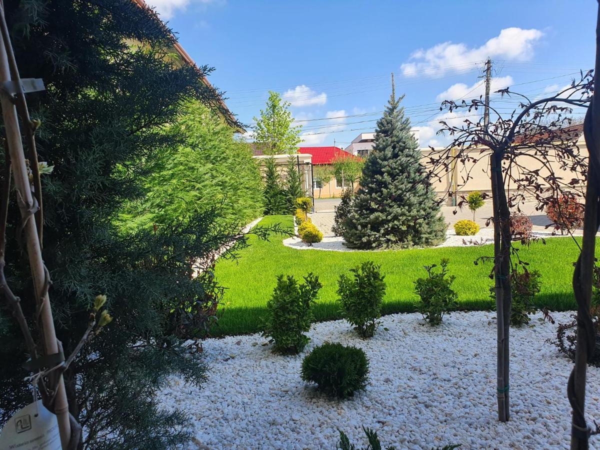 Pensiunea Mystique Arad Exterior photo